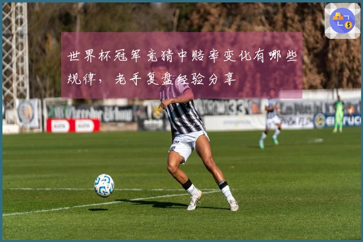 世界杯冠军竞猜中赔率变化有哪些规律，老手复盘经验分享
