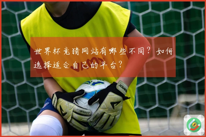 世界杯竞猜网站有哪些不同？如何选择适合自己的平台？